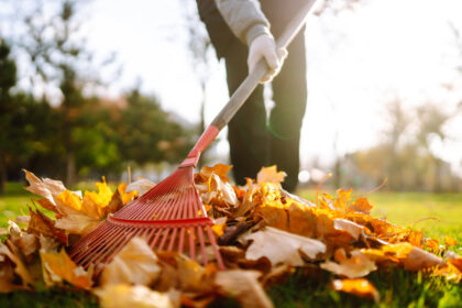 Gartenarbeit im Oktober: Tipps und Tricks für den goldenen Herbst