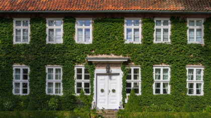 Fassadenbegrünung: Warum Ihr Haus mehr als nur einen Anstrich verdient
