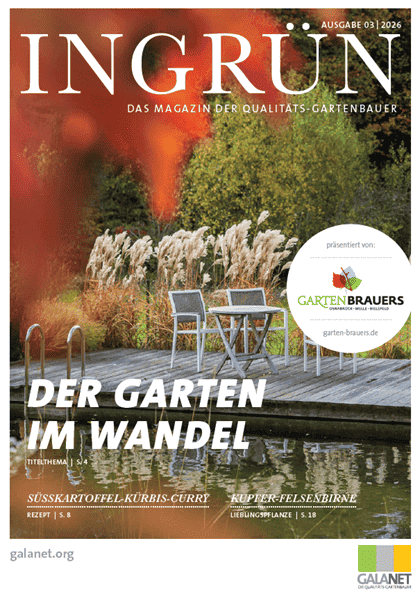 INGRÜN 03/2026